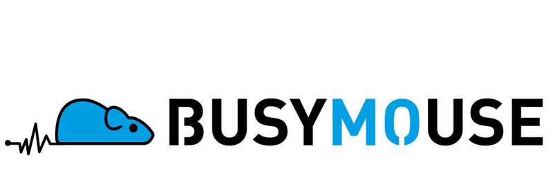 Systemhäuser können Busymouse FileCloud auch komplett unter eigener Marke anbieten.