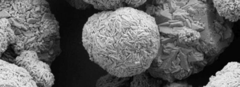 REM-Aufnahme des kobaldfreien Kathodenpulvers, das die Energiedichte eines Lithium-Ionen-Akkus um 40% steigern kann