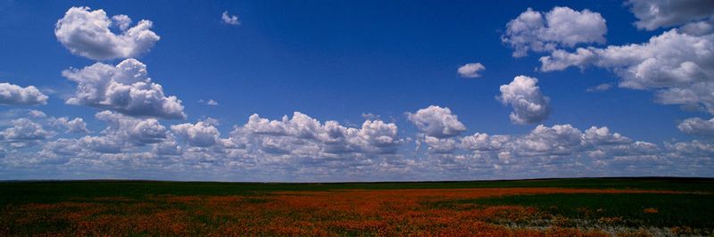 Ein Verbot der Cloud-Nutzung im Unternehmen ist allein angesichts der schieren Masse an Diensten nahezu unmöglich.