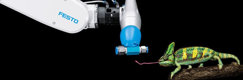 Der FlexShapeGripper kann mehrere Objekte mit unterschiedlichsten Formen in einem Vorgang greifen, sammeln und wieder abgeben – ohne einen manuellen Umbau.