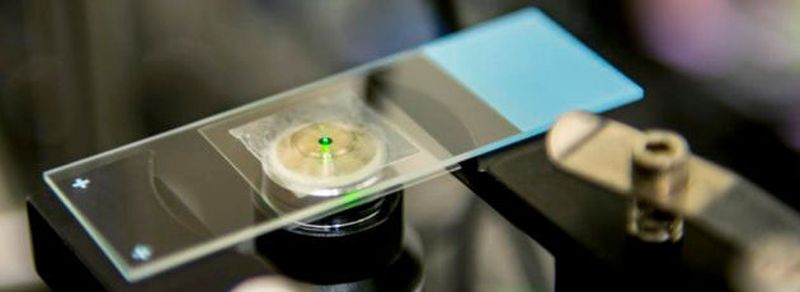 Kältestrahl in Aktion: Spezielle, an der University of Washington entwickelte Nanokristalle, werden durch einen Infrarot-Laser abgekühlt. Während dieses Vorgangs strahlen sie ein grünlich-rotes Leuchten ab, das mit bloßem Auge erkennbar ist.