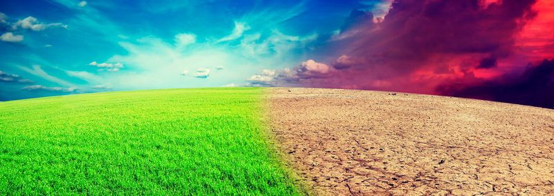 Viele Experten machen die Klimaerwärmung für die derzeitigen, drastischen Wetterereignisse wie Dürren verantwortlich.