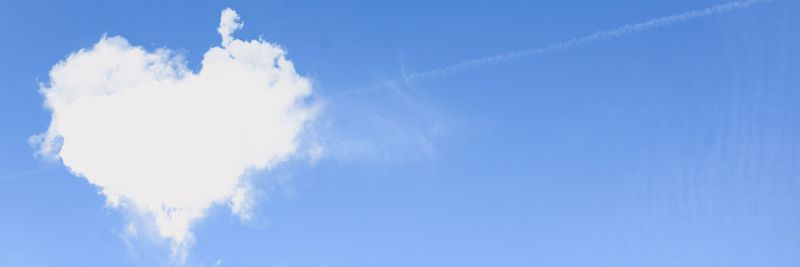 Akzeptanz und Zuneigung sind bei der Einführung von Cloud-Projekten in Unternehmen die besten Voraussetzungen für eine erfolgreiche Umsetzung.