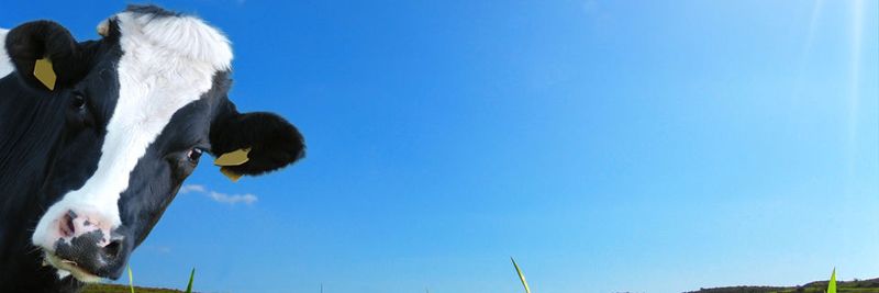 Die Digitalisierung macht auch vor der Landwirtschaft nicht Halt und revolutioniert die Kundenbeziehungen im Agrarsektor.