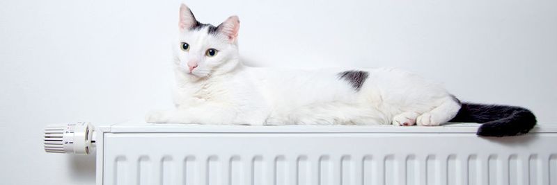 Die Wolke nutzen und gleichzeitig wohlige Wärme genießen. Mit Cloud & Heat verpufft die Abwärme großer Serveranlagen nicht.