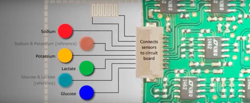Flexibles Sensor-Array (li) und Mikroprozessor-Einheit (re) für die Datenanalyse. Gemessen werden die physiologischen Werte über ihre elektrischen Signale: Je mehr Glukose oder Laktat im Schweiß ist, desto mehr elektrischer Strom wird an der Sensoroberfläche generiert.