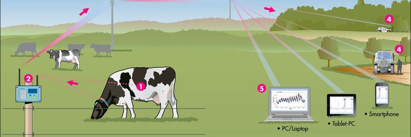 Die Deutsche Telekom arbeitet an Anwendungsfeldern für seine Angebote im IoT-Umfeld. Ein mögliches Einsatzgebiet: die Landwirtschaft.