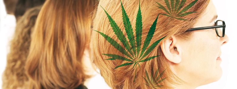 analyse von haarproben fur strafverfahren