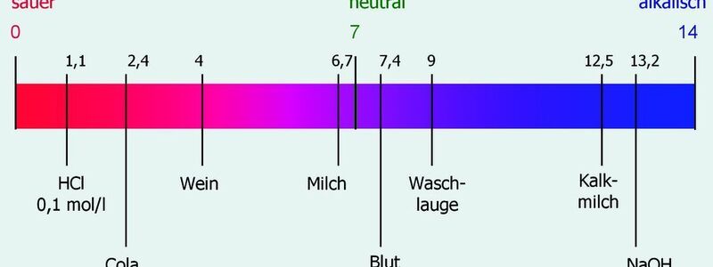 Die Bedeutung Des Ph Wertes