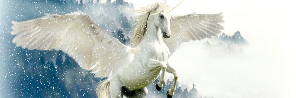 Erstes Einhorn Unter Den Start ups Erstes Einhorn Unter Den Start ups