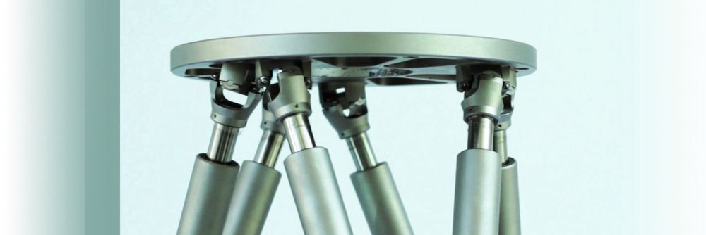 Die Entwicklung des Hexapoden