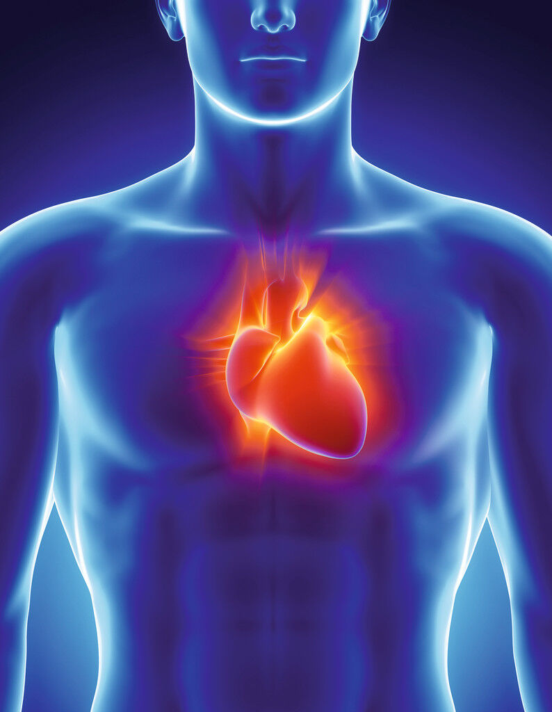 heartburn menselijk herz cardiometabolic herzen indigestion esophagus diseases menschlichen blutzirkulation corazón wissenschaftler entworfen medizin trifft vorhof simuliert compactrio labview herzkammer