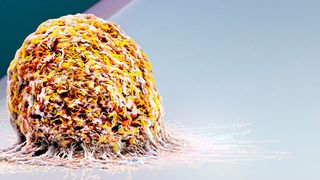 ETH-Forschende entwickelten eine hochsensible Waage, welche das Gewicht einer einzelnen Zelle misst. (Martin Oeggerli, micronaut.ch / ETH Zürich / Uni Basel)