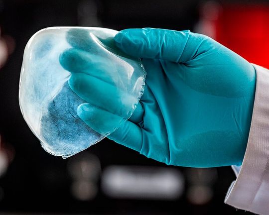 Der neu entwickelte biomimetische Gewebeersatz eröffnet neue Ansätze für leistungsfähige Implantate – hier demonstriert an einem gedruckten Herzbeutel (Perikard).(Bild:  Fraunhofer IAP/Till Budde)