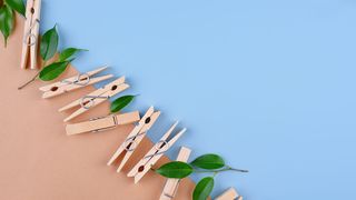 zero-waste-eco-wooden-clothes-pin-2021-09-24-00-50-39-utc (Quelle: furmanphoto/Envato Elements)