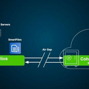 (Cohesity)
