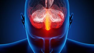 Emotionen spielen im Betriebsalltag eine wichtige Rolle und beeinflussen Arbeitsklima und Arbeitsmotivation nachweislich. (Johan Swanepoel/Fotolia.com)