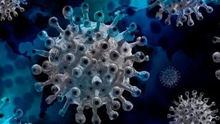 SARS-CoV-2 infiziert Zellen über virale Türöffner, die bei Älteren, Männern und Rauchern vermehrt vorkommen. (Symbolbild) (gemeinfrei)