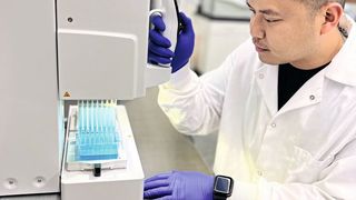 Integra-Pipetten optimieren die Arbeitsabläufe im Labor von California Seed and Plants  (Bild: Integra Biosciences)