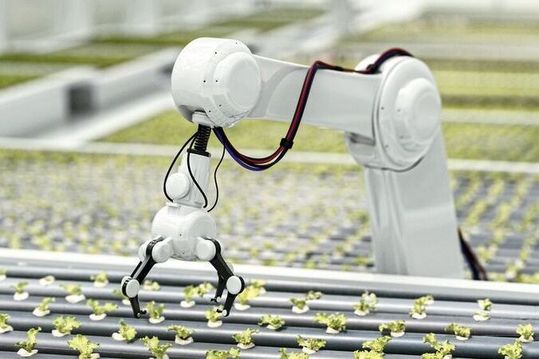Bürstenlose DC-Motoren haben sich für viele Anwendungen als besonders geeignet erwiesen, wie beispielsweise in der Robotik.(Bild:  maxon)