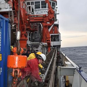 Ein frisch geborgener zehn Meter langer Sedimentkern an Bord des Forschungsschiffs Meteor (Januar 2018).(Bild:  Andreas Koutsodendris)