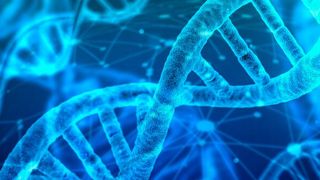 Die Ära anonymer Teilnahme an offenen Blockchain-Ökosystemen neigt sich ihrem Ende zu. Eine Technologie der Vertrauensbildung braucht digitale Identitäten. (Bild: gemeinfrei)