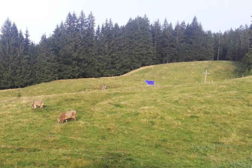 uwt_wanderung_2019_01 ()