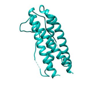 (Bild: Juliane Lokau, Uni Kiel)