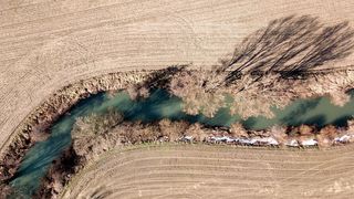 Oberflächengewässer können durch die unterschiedlichsten Substanzen belastet werden, z. B. durch Pestizidreste, die von Feldern ausgewaschen werden. (©keBu.Medien - stock.adobe.com)