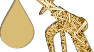 Under China’s nationwide blending mandate proposal, all gasoline used for motor vehicles will need to contain bioethanol as an additive. (Clariant)