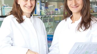 Irene Thomsen (rechts) und ihre Kollegin Dr. Maya Sethi, die ebenfalls an der Studie beteiligt war. (Bild: MHH/Kaiser)