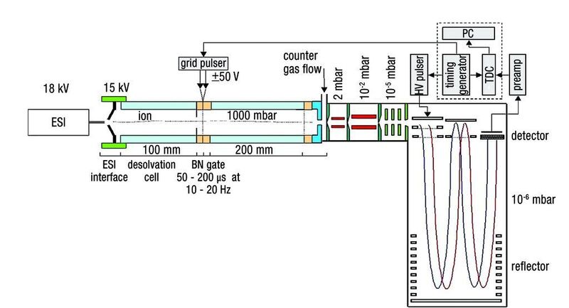 Abb. 1: Schema des IMS-TOF-MS mit einer ESI-Quelle.  (Bild: GSG)