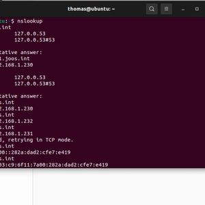 Testen der Namensauflösung zwischen Ubuntu und Active Direftory.(Bild:  Canonical / Joos)