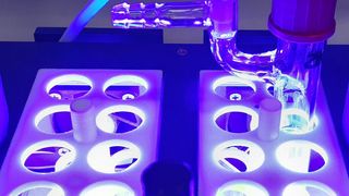 Die Münsteraner verwenden diesen Laboraufbau, um Photocycloaddition durchzuführen. (WWU - Roman Kleinmans )