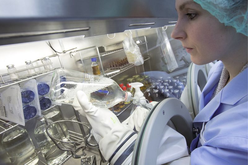 Schulung und Training sind wichtig, damit die Mitarbeiter im Umgang mit den Isolatoren geübt sind, wie hier im Labor Sterilität des SGS Institut Fresenius. (Bild: SGS Group)