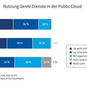 Generative KI ist im Mainstream angekommen. 45 % der Unternehmen nutzen sie bereits intensiv. (Bild:  Flexera)