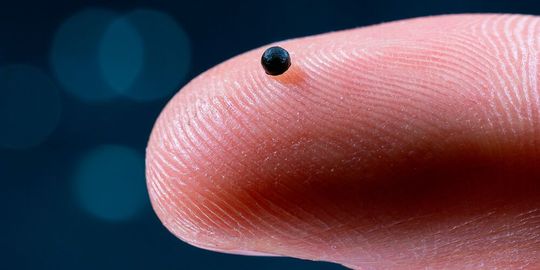 So klein ist der neuste ETH-Mikroroboter(Bild:  Luca Donati / ETH Zürich)