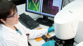 Abb. 1: Das neue Infrarot (IR)-Mikroskop kann dank seines 16-fach-Sensors deutlich schneller messen. (Bild: Currenta)