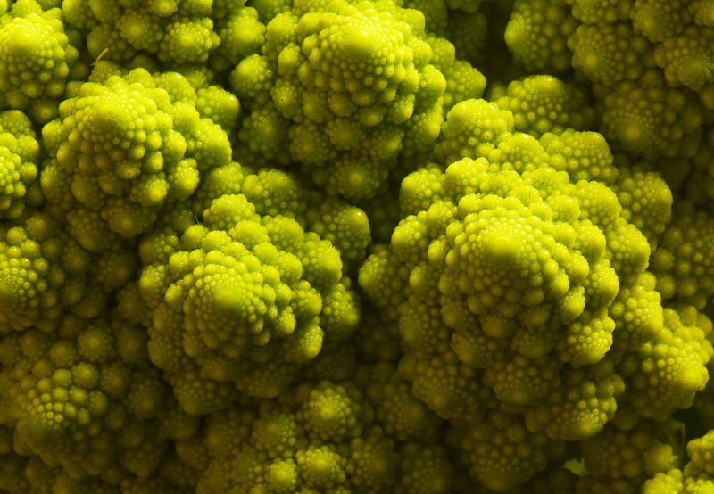 Mathematik im Romanesco. Seine spiralartige Struktur basiert auf der Fibonacci-Zahlenfolge, die in architektonischen Meisterwerken aber auch in der Natur häufig zu finden ist. (Jan-Peter Kasper/FSU)