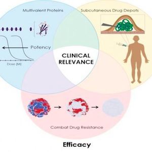 Recombinant proteins may become more important as anti-cancer biologic drugs if they can be delivered in selected combinations by a slow release gel.