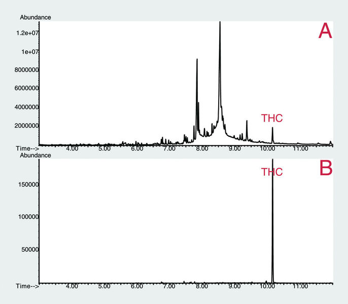 Abb.3: (A) Full-Scan (31 – 350 amu)
GC/MS-Spur für Mundflüssigkeit, die
mit 20 ng/mL THC versetzt wurde;
(B) extrahierte Ionenspur (299) für
Mundflüssigkeit, die mit 20 ng/mL THC
versetzt wurde. (Archiv: Vogel Business Media)