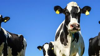 Der große Unterschied: Klassische Infrastrukturen zur Virtualisierung und Cloud-Lösungen variieren erheblich. (© countrypixel - Fotolia.com)