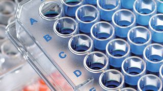 Die 96-, 384-, 1536-well Mikrotiterplatten von Brand werden mit acht verschiedenen Oberflächentypen angeboten,  (Bild: Brand)