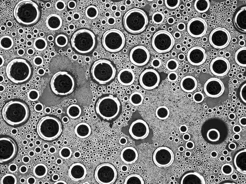 Abb. 2: Eine solche Momentaufnahme des Tröpfchenmusters nehmen die Wissenschaftler mit ihrem Versuchsaufbau sechsmal pro Sekunde auf. Eine genaue Analyse der Bilder sowie Computersimulationen ergaben nicht nur, dass weniger kleine Tröpfchen zu finden sind als bislang vermutet, sondern auch, dass die kleinen Tröpfchen schneller wachsen als angenommen. (Bild: Max-Planck-Institut für Dynamik und Selbstorganisation)