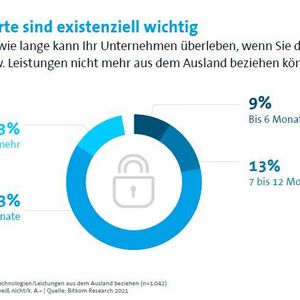 Viele Unternehmen sind auf Digital-Importe angewiesen und könnten nicht lange ohne sie existieren. 