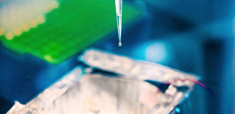 Kaust researchers observed that ‘pendant’ droplets formed from hydrophobic capillaries respond to uniform electric fields. (© 2020 Kaust; Anastasia Serin)