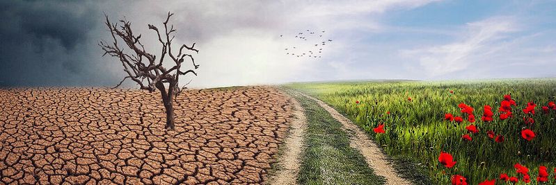 Zwischen Verfügbarkeit, Sicherheit, Wirtschaftlichkeit und Klimaschutz: Welchen Weg sollen Rechenzentren in Richtung CO2-Neutralität beschreiten? (Bild:  frei lizenziert: ELG21 /  Pixabay)