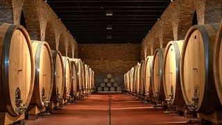 valtice--sto-23--slavik-005--large- (Tomáš Slavík, Prague, CZ)