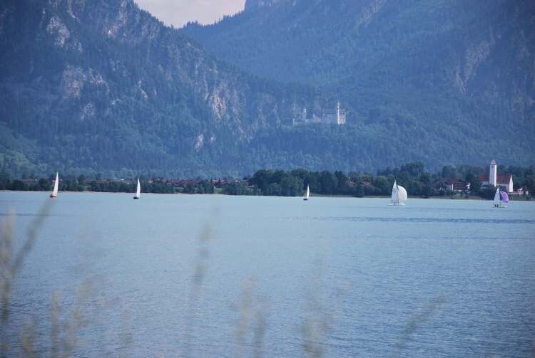Idyllischer geht's nimmer. Im Hintergrund Schloss Neuschwanstein. (Foto: Stephan Maderner)