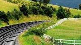 Formel-1-Fahrer freuen sich über Reifenabrieb auf der Strecke, denn er verbessert die Haftung. Doch das Gummimehl schadet der Umwelt. (Archiv: Vogel Business Media)